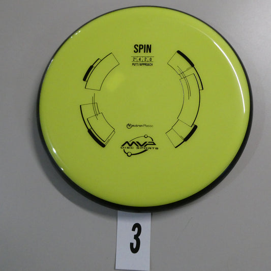 Neutron Spin