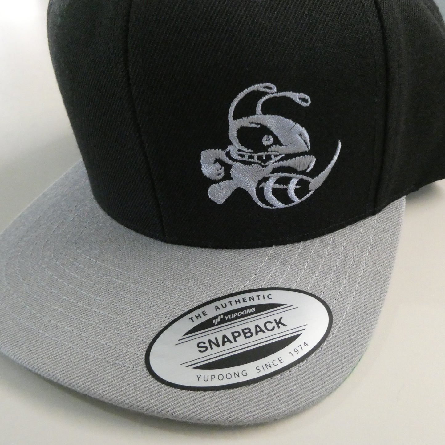 Buzzz Hat- 2 tone Snapback