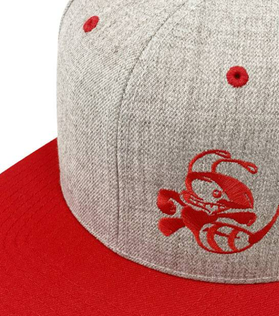 Buzzz Hat- 2 tone Snapback