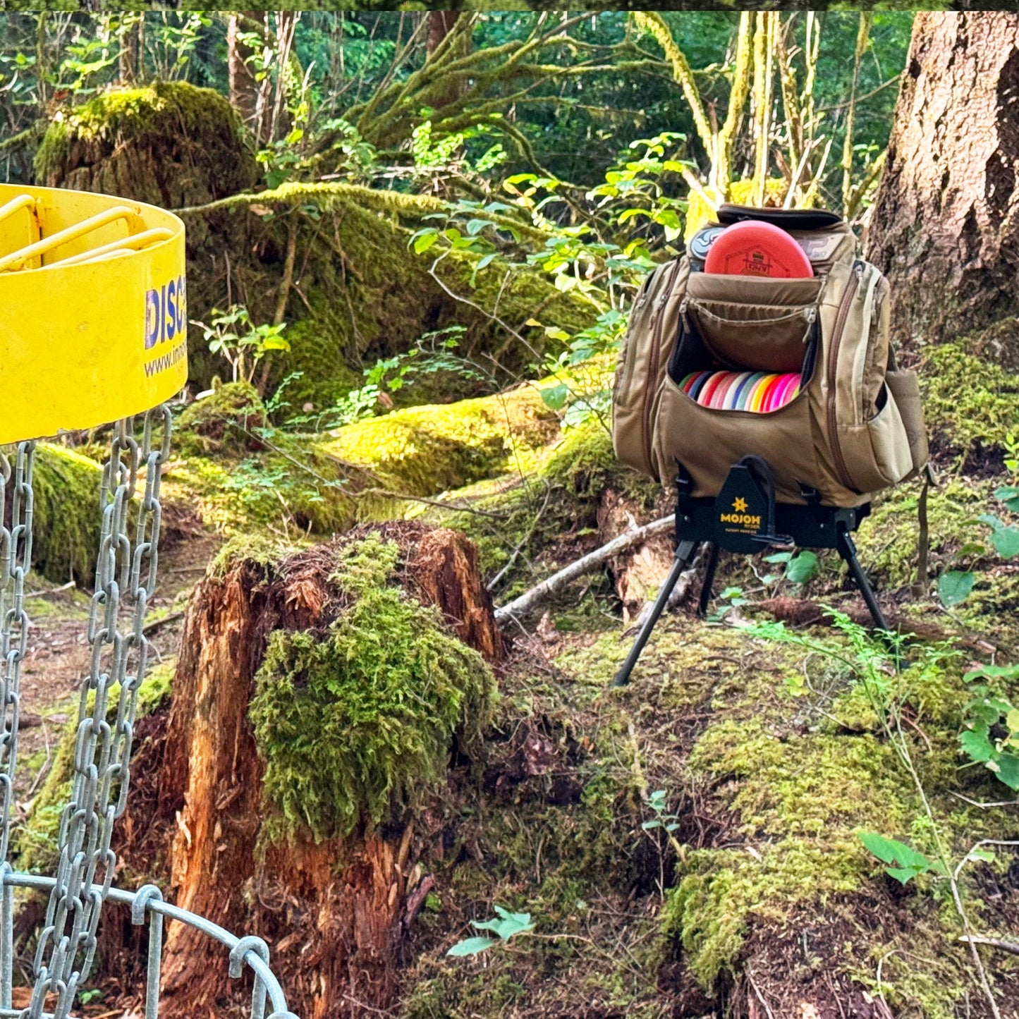 The Original Disc Golf Ryzer