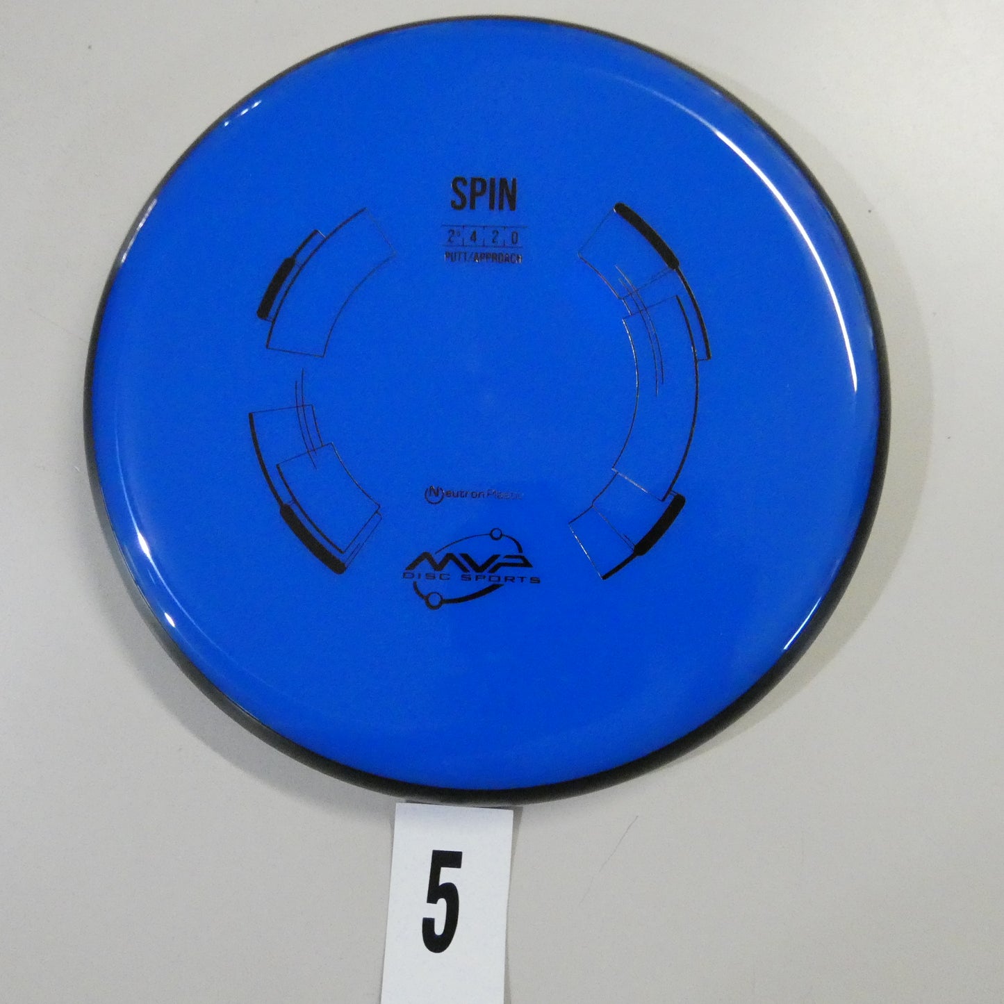 Neutron Spin
