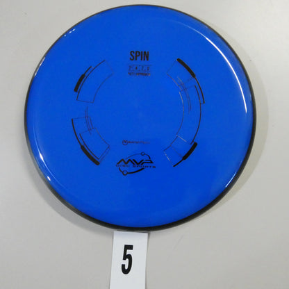 Neutron Spin