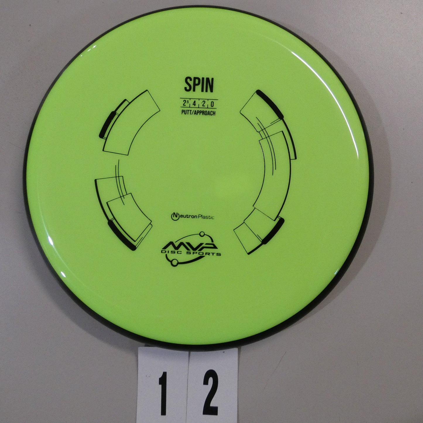 Neutron Spin