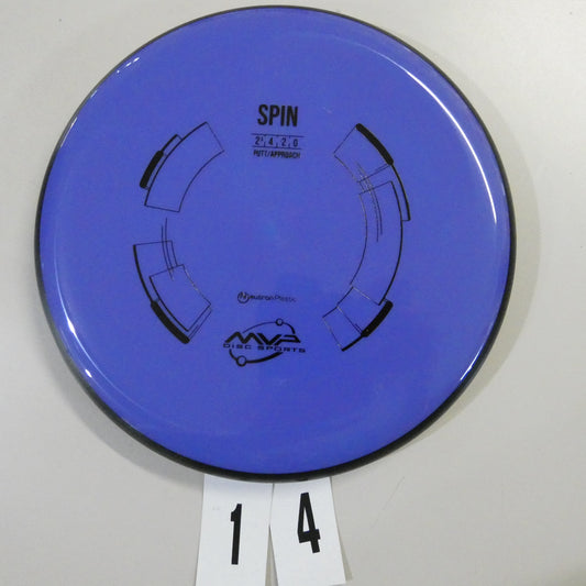 Neutron Spin