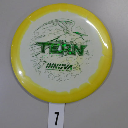 Halo Star Tern