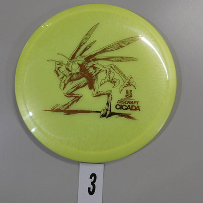 Big Z Cicada