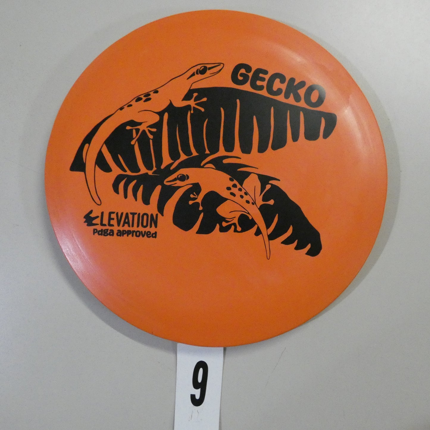 ecoFIRM Gecko