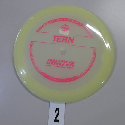 Proto Glow Champion Tern