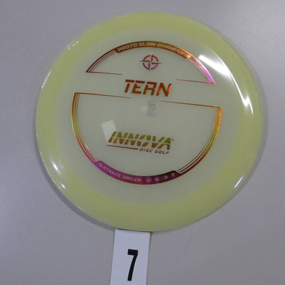 Proto Glow Champion Tern