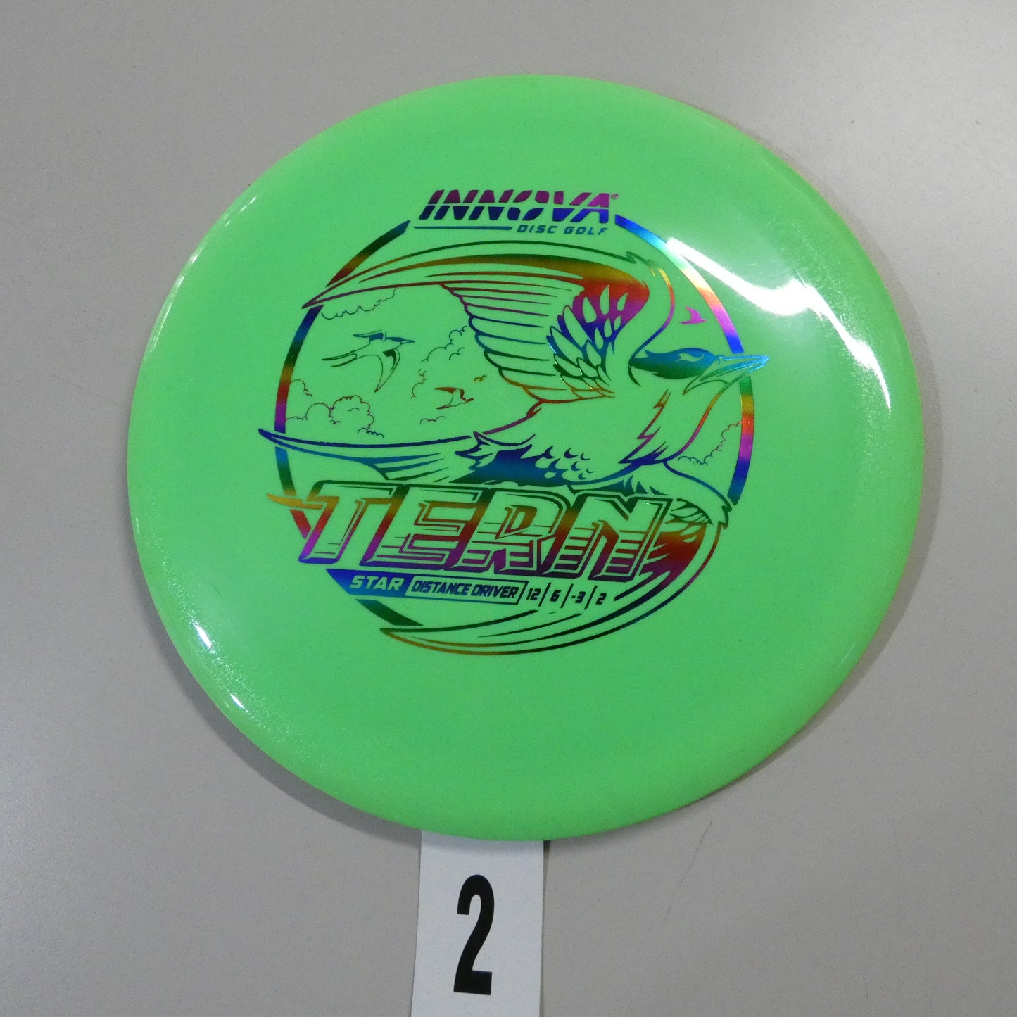 Star Tern