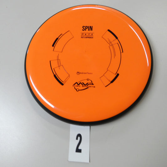 Neutron Spin