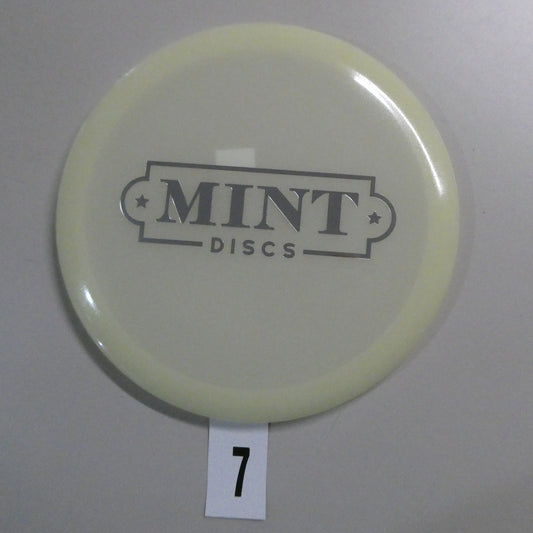 Nocturnal Salamander