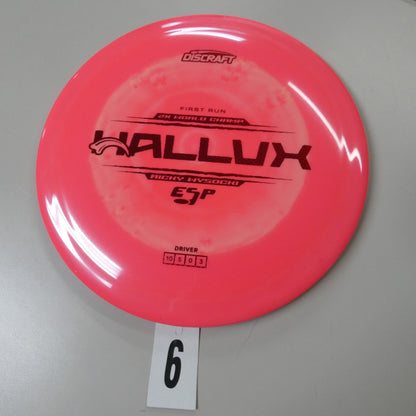 Ricky Wysocki 1st run ESP Hallux