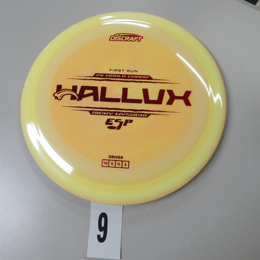 Ricky Wysocki 1st run ESP Hallux
