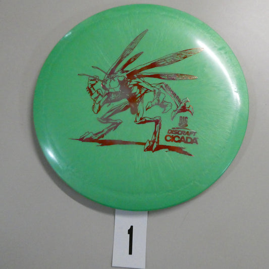 Big Z Cicada