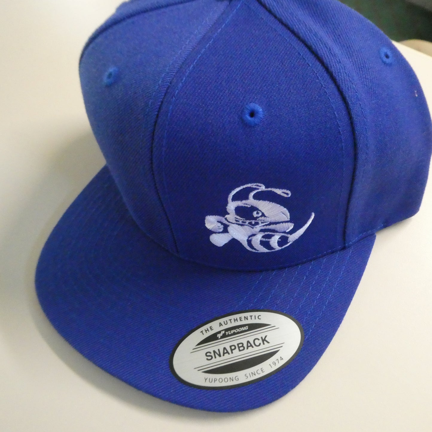 Buzzz Hat- Solid Snapback