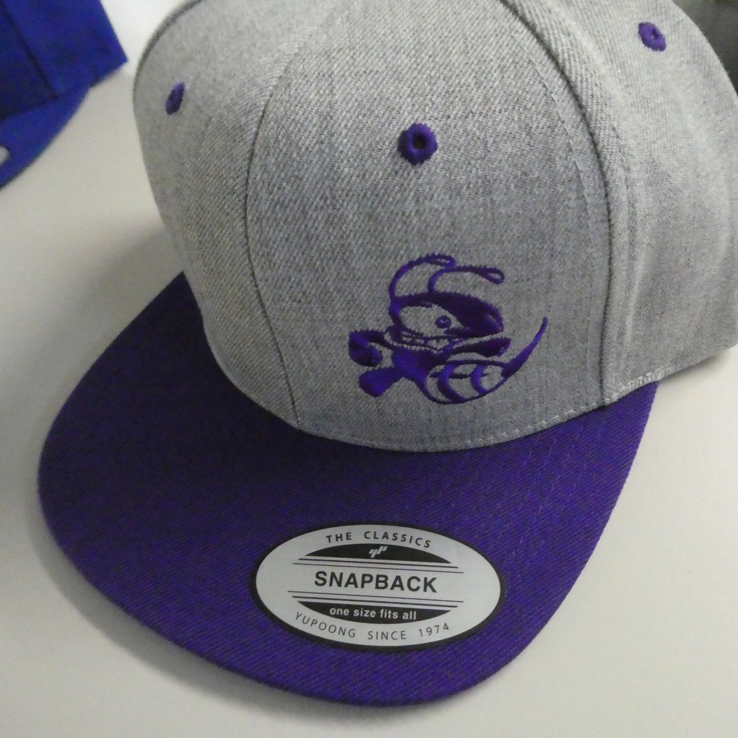 Buzzz Hat- 2 tone Snapback