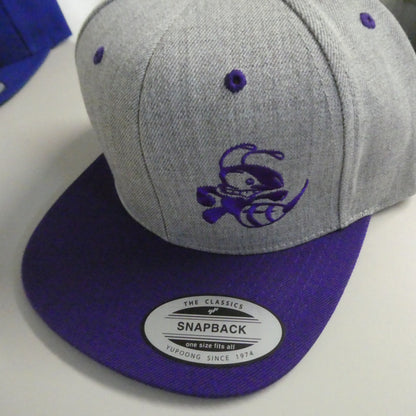 Buzzz Hat- 2 tone Snapback
