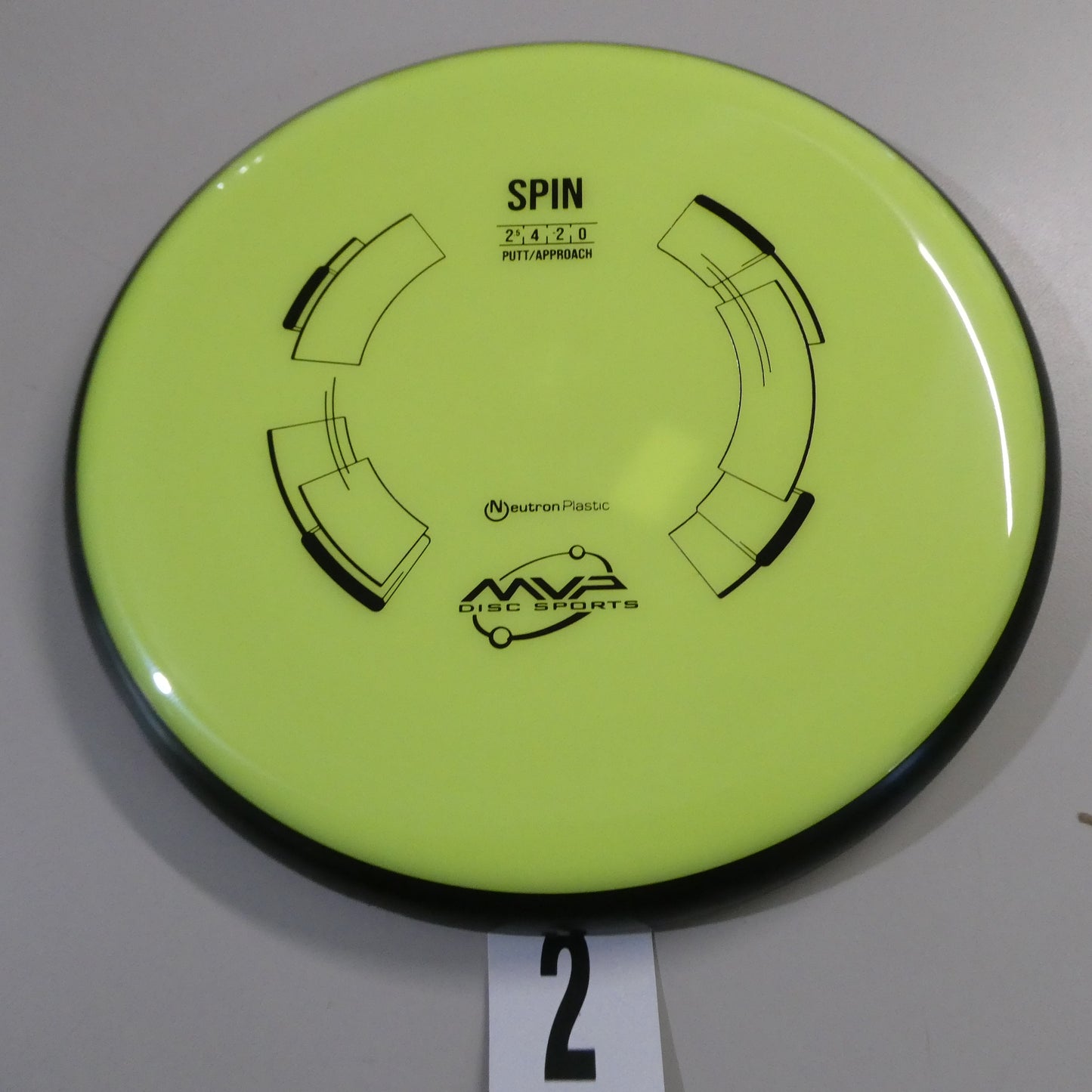 Neutron Spin