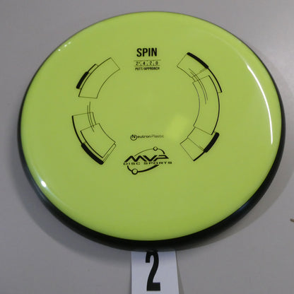 Neutron Spin