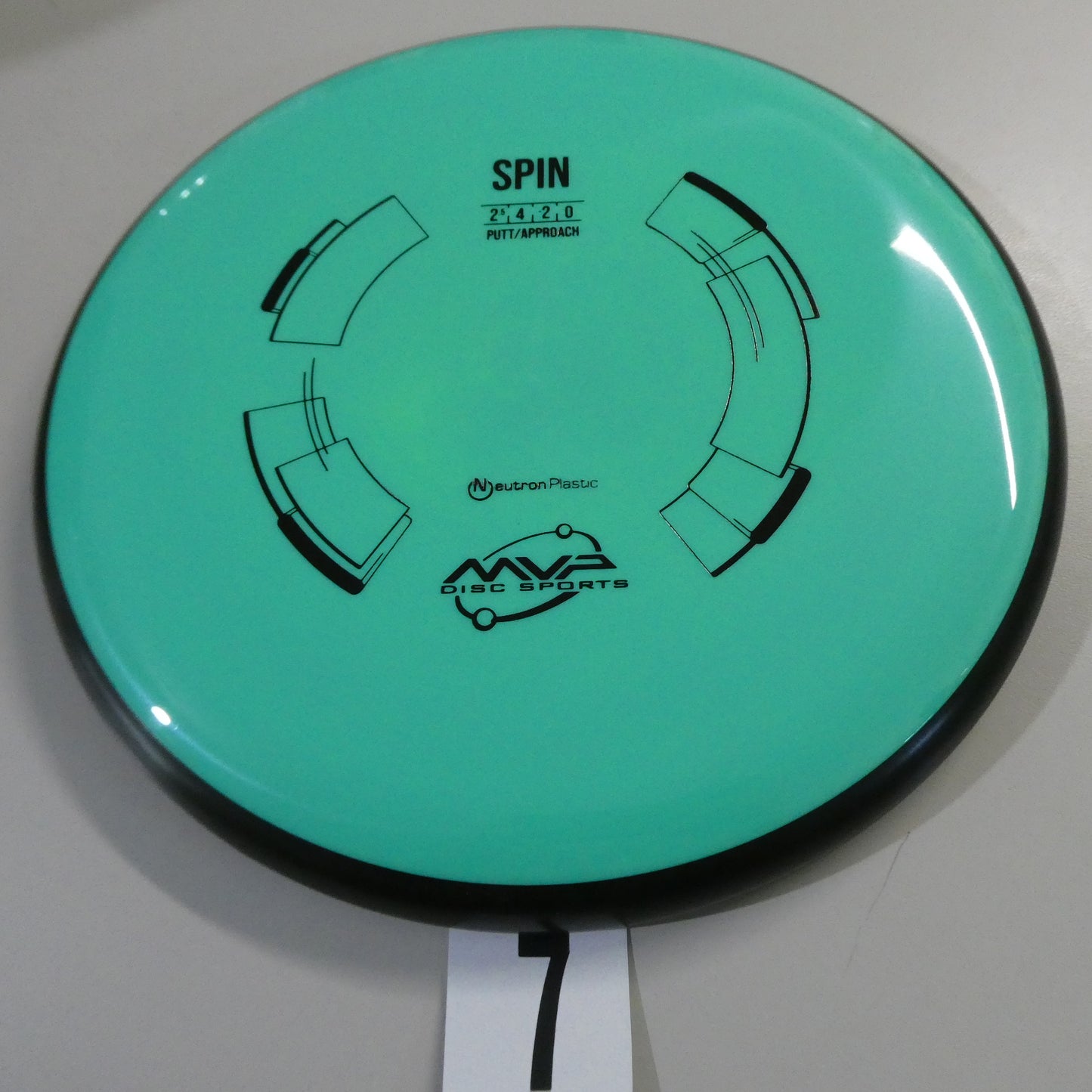 Neutron Spin