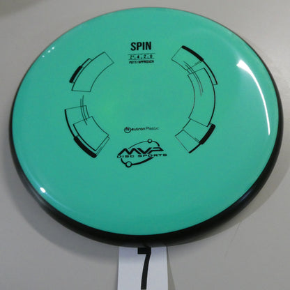 Neutron Spin