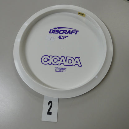 Dye Line (Blank Top) ESP Cicada