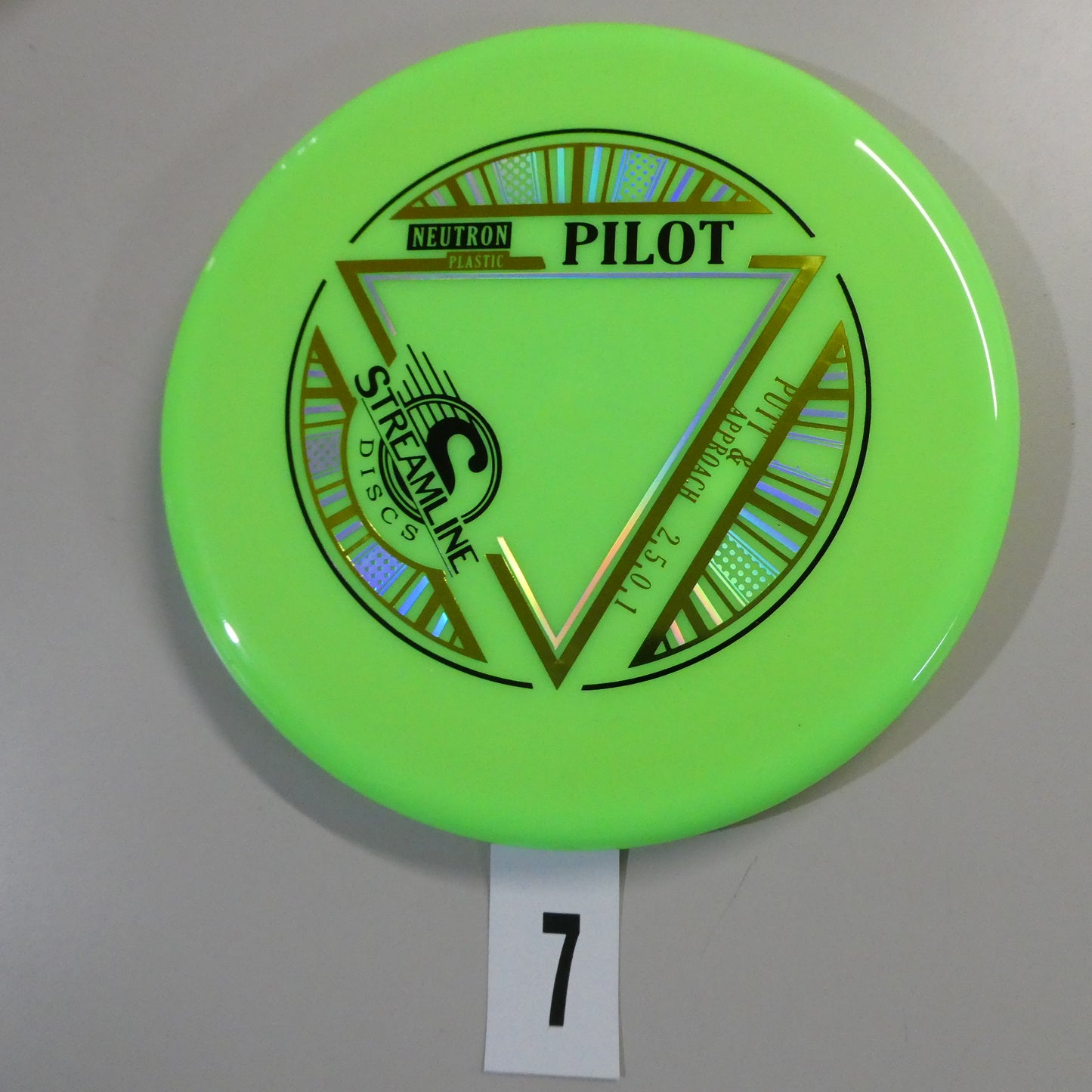 Neutron Pilot