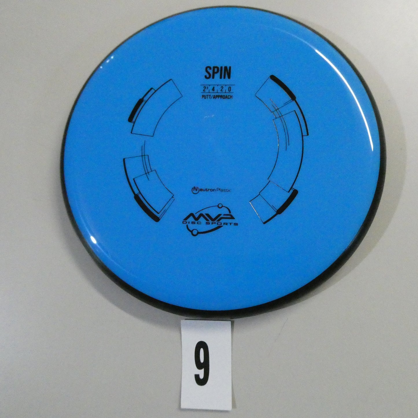 Neutron Spin