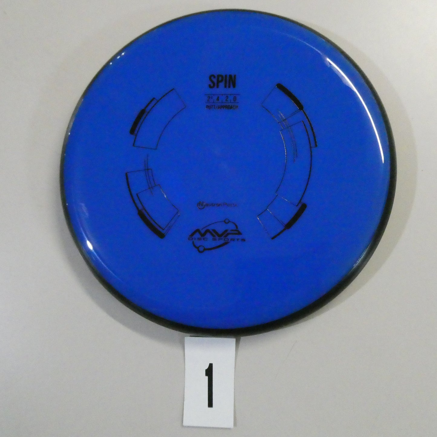 Neutron Spin