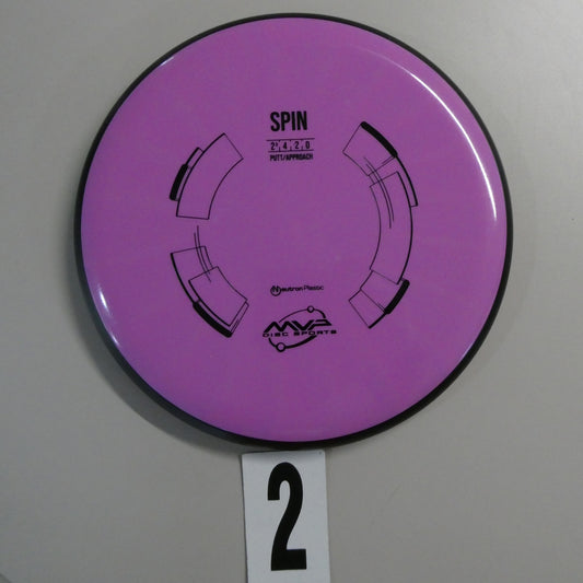Neutron Spin